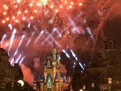 2018.7 夫の還暦記念は4度目のＷＤＷ⑧…7日目・のんびりマジックキングダム