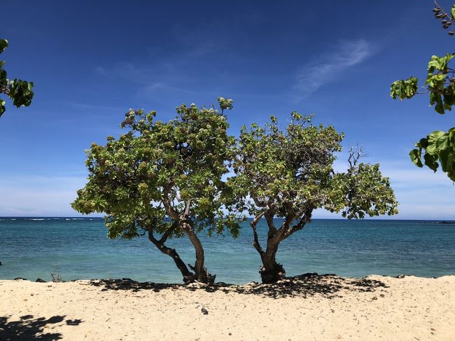 毎朝歩き　いつになくリラックスできたハワイ島