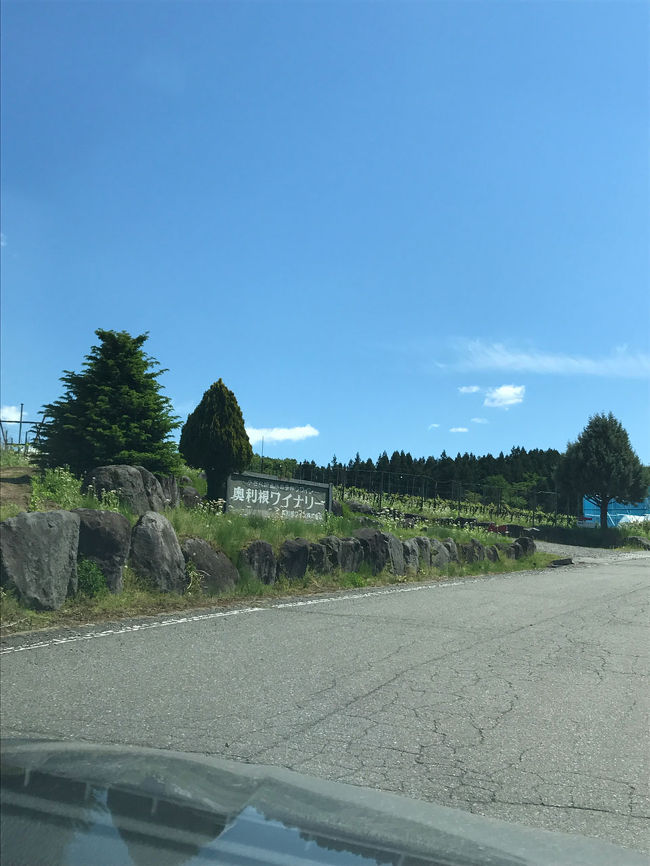 赤城高原へ日帰りドライブに行きました。<br />関越道で下り昭和ICまで行き、<br />奥利根ワイナリーに寄りました。