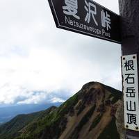 静かな苔の森を行く　～根石岳ソロ登山～