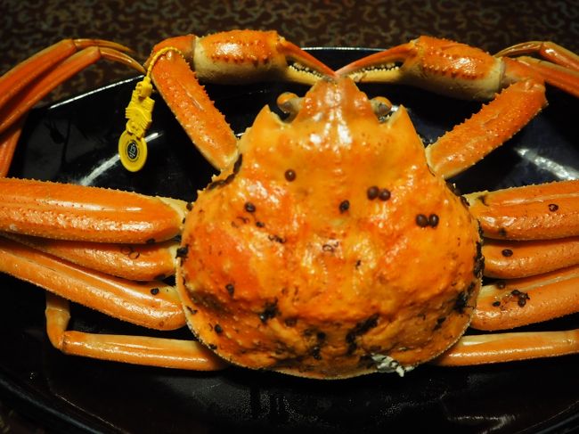 18年12月 蟹を食べに福井へ 二度目の 料理宿 やまざき リベンジせいこ蟹 越前海岸 福井県 の旅行記 ブログ By ニーコさん フォートラベル 18年12月 蟹を食べに福井へ 二度目の 料理宿 やまざき リベンジせいこ蟹 越前海岸 福井県 の旅行記 ブログ By ニーコさん フォートラベル
