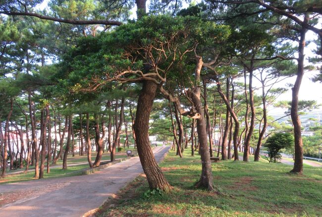 沖縄の名城巡りの座喜味城です。