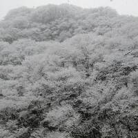 2017冬 行くぜ、東北。その2 会津東山温泉宿泊