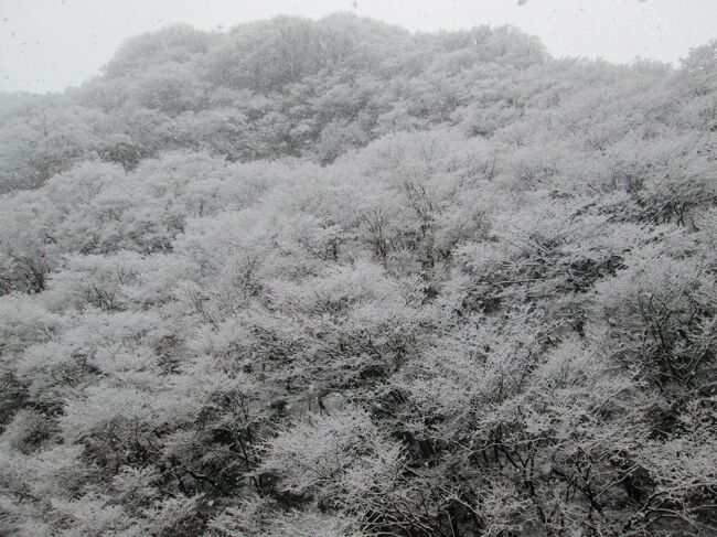 （記憶をたどる旅の記録）<br />2017年の始まりは会津東山温泉に<br /><br />宿についてゆっくりと雪を眺める<br /><br />