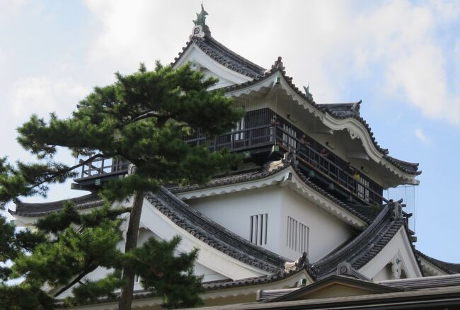 2018夏、三河の名城(6/7)：岡崎城(1)：天守、本丸、龍城神社、水濠、空堀