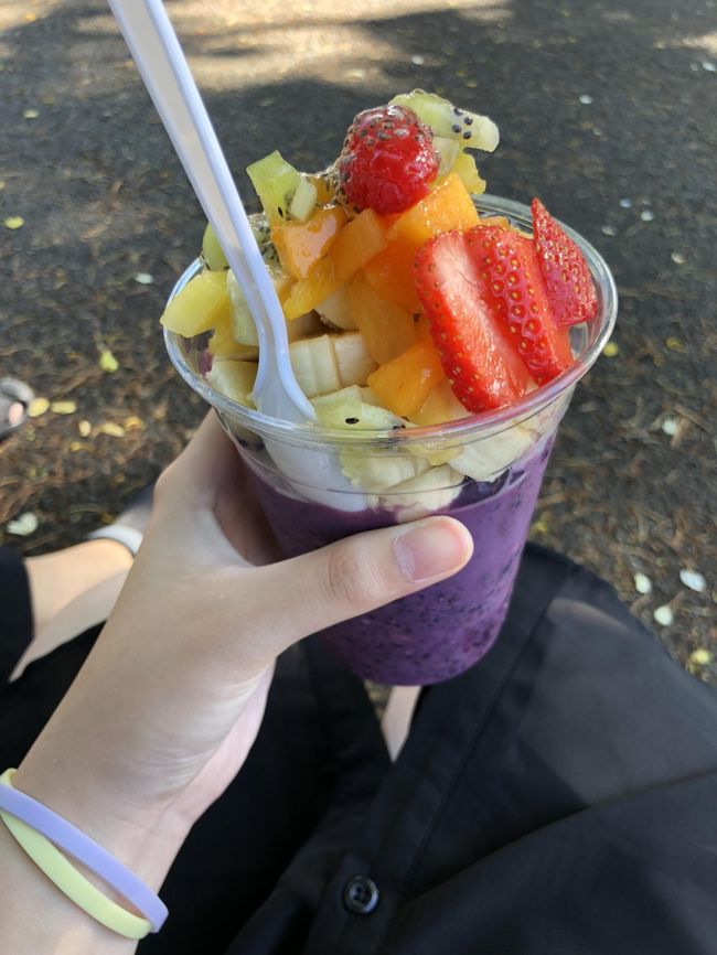 今日はホテル移動の日です。<br />KCCファーマーズマーケットでスタート。フルーツたっぷりのアサイーを食べて重いトランクを運びま~す。