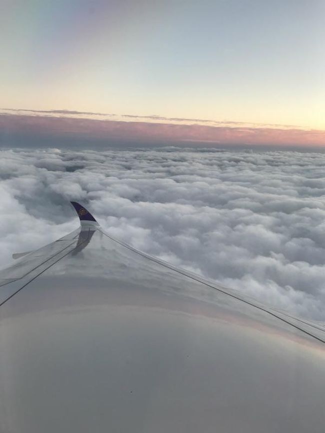 本当に久しぶりのスイス旅行。<br />今回は関空発のタイ航空でスイスに向かいます。<br /><br />スケジュール:<br /><br />◆1日目:関空発タイ航空でチューリッヒに移動<br />◆2日目:チューリッヒ→ベルン 市内観光 ベルン泊<br />◇3日目:ベルン→ツェルマット ハイキング ツェルマット泊<br />◇4日目:ハイキング ツェルマット泊<br />◇5日目:ツェルマット→シュピーツ→トゥーン→ルツェルン ルツェルン泊<br /> ※シュピーツ→トゥーンは船で移動<br />◇6日目:ルツェルン→チューリッヒ移動 市内観光 チューリッヒ泊<br />◇7日目:チューリッヒ発タイ航空で関空に移動<br /><br />6日目以外の移動手段は、電車です。<br />事前にアプリをダウンロードしてチケットは事前に予約済。<br />スイス ハーフフェアカードの購入+Super saver ticket(早割り)を購入することで、交通費を節約(笑)<br />登山電車もケーブルカーも半額になりました。