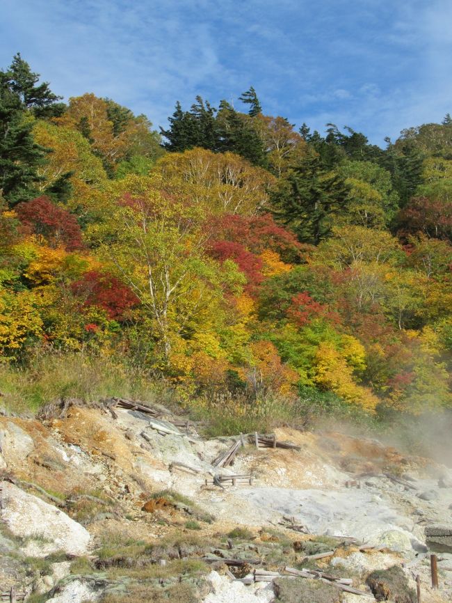 田沢湖から八幡平山頂に向かう途中には特色ある有名な温泉が連なっています。<br />立ち寄り湯や見学はしたことがあったのですが、今回一筆書きで順に泊まって4湯を堪能。<br />最終日は紅葉真っ盛りの八幡平山頂から盛岡に下って冷麺を食べて締めくくりました。<br />新幹線とバスで巡った4泊5日の女一人旅です。<br />