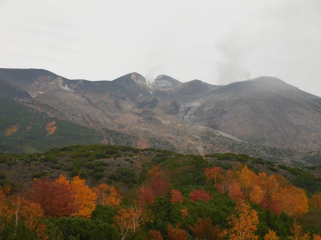 　今年も早いもので10月に入りました。気温がめっきり下がり、外出する時は、長袖を着るようになりました。<br />　そんな折、東京から知人が来道し、一緒に美瑛・旭川を巡って来ました。その様子をご覧ください。