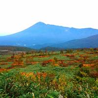 紅葉の宝石箱の八幡平　