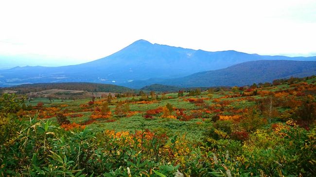 JALのマイルがあるからと、空席から探した旅でした。<br /><br />まさか、岩手にこんなに紅葉の素敵な山があるなんて!と感激しました。<br /><br />また、八幡平は少し軽井沢にも似た景色を感じました。<br /><br />新発見の旅でした。