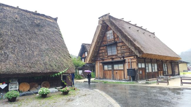 最終日です！やっぱり雨でした。晴れ女になりたい・・・<br />雨の影響で残念なピントの写真しかないので、ご了承ください（それ以前に腕前の問題ｗ）<br /><br />写真コメント：人生二回目の白川郷。いいところなんですけど・・・やっぱ冬に来るべきだなーと再認識。