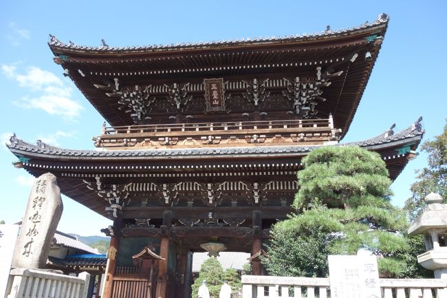 京都にちょくちょく行った記録をまとめます！時期はだいたい夏から10月にかけての分です。