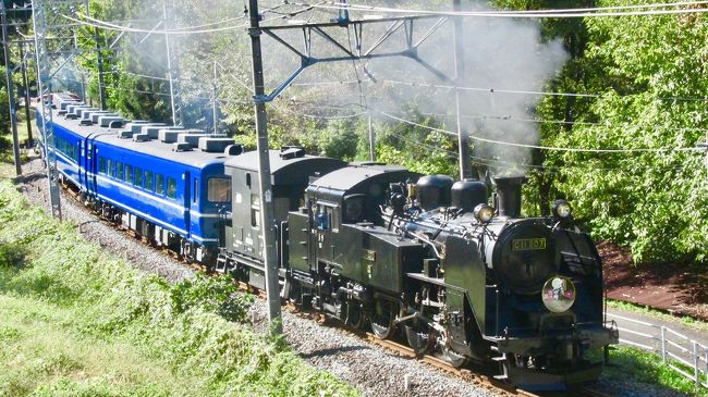 10月連休、2018年度最後の関東方面へ旅してきました。3月ごろから計画にあったSL大樹にようやく乗ることができました^_^<br /><br />10/6)<br />新千歳空港1615→羽田空港1755~1822→押上1901→東京スカイツリー→とうきょうスカイツリー→浅草→上野→蒲田(泊)<br /><br />10/7)<br />浅草630→(リバティけごん1号)→小佐越831→<SL大樹1号撮影>→小佐越→大桑→< SL大樹2号撮影>→大桑1204→鬼怒川温泉1218→<日帰り温泉ランチバイキング>→鬼怒川温泉1435→( SL大樹4号)→下今市1508~1632→( SL大樹5号)→鬼怒川温泉1708~1809→( SL大樹6号)→下今市1843~1857→(きぬ146号)→浅草2045→神田→蒲田(泊)<br /><br />10/8)<br />川崎にて踊り子号(川崎916発)撮影→川崎→登戸→小田急LSE(登戸1255通過)撮影→登戸1304→新宿1334→三鷹1454→吉祥寺→特急かいじE257撮影→吉祥寺1457→神田→御徒町→山手線撮影→御徒町→東京→特急かいじE257撮影→東京→浜松町→羽田空港国際線ターミナル→東京モノレール撮影→羽田空港国際線ターミナル→羽田空港第2ビル1900→新千歳空港2035~2104→札幌2144