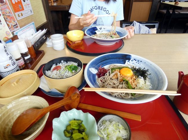 この日の昼食は、静岡県道２１号三島裾野線沿いの和食麺処サガミ 三島萩店で頂きます。<br /><br />名古屋発祥のチェーンの和食店で、JAFカードの提示で５％の割引になります。<br />
