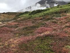 台風24号なんかに負けないヮ！！北海道・青い池～旭岳～美瑛に行って来ました♪♪