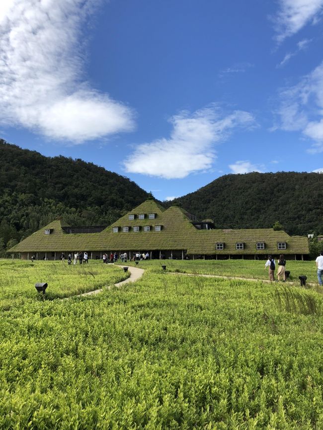 職場の同僚とはじめてのバスツアーへ行ってきました！<br />あなぶきトラベル夢紀行～琵琶湖バレイと野田町のコスモス畑～<br />コスモスはまだ1分咲きということでラコリーナに急遽変更になりました。<br />3連休の中日でどこもすごい人でした&#128166;