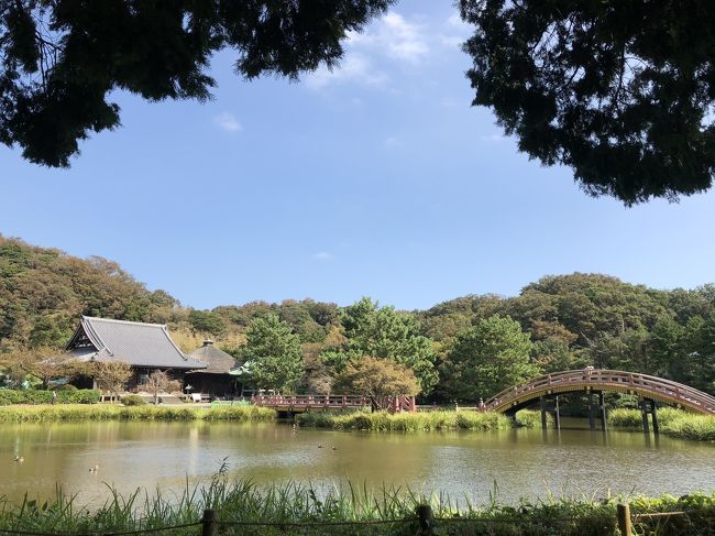 地元の歴史あるスポット、特にお寺や神社って実は行ったことがないところばかりで…。<br /><br />先週の金沢八景ぶらぶら散歩の時に「今度は称名寺に行こうかな～」と思ったので、三連休明けにふらっと行ってきました♫<br /><br />軽い気持ちで敷地内の八角堂を見学しようと思いましたが…お堂までの道のりは険しかったし怖かった（泣）<br /><br />庭園内では心落ち着く景色に癒され、ゆったりとした贅沢な時間を過ごしました。