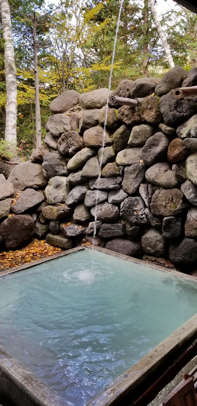 奥蓼科温泉 渋 辰野館 大満足の白濁硫黄泉でした 白樺湖 蓼科 車山 長野県 の旅行記 ブログ By タブラオさん フォートラベル