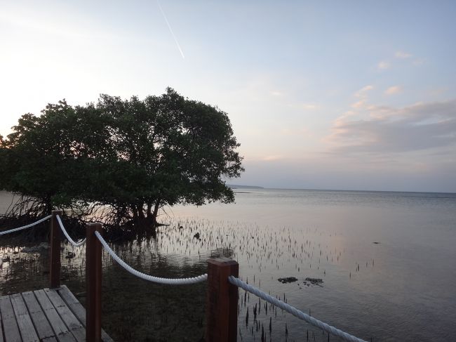バリ島に住む友人に会いに、3度目のバリ島旅行へ。<br />友人がお気に入りのメンジャンガンをお勧めしてくれたので、2人で一緒に行くことにしました。<br />メンジャンガンは友人にとってはパワースポットだそうです。<br />私もパワーチャージ出来るかな?<br /><br />9月2日 夕方にバリ島に到着後、車でThe Menjangan Resortへ メンジャンガン泊<br />9月3日 終日The Menjangan Resort リゾート内散策・エステなど メンジャンガン泊<br />9月4日 終日The Menjangan Resort バードウォッチング メンジャンガン泊<br />9月5日 クロボカンに移動 スミニャック散策・ショッピングなど クロボカン泊<br />9月6日 ビーチ沿いのカフェで朝食 帰国<br /><br />☆2011年の旅行ですが、2018年に旅行記を作成しました。当時は~などの記載があるのは、その為です。
