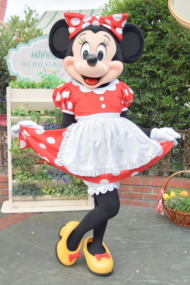 3日目!<br /><br />この日は8:00開園だったのですが7:45からのプラザインレストランを予約していました。<br /><br />もともとわたしたちはパークホッパーチケットだっため日本でいうアーリーとして1時間前から入園できます。<br /><br />でもパークホッパーでなくても、このプラザインレストランを開園前の時間から予約してる人に限り1時間前から入れるようです。