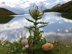 2018年夏～スイス登山鉄道とレンタカーの旅９日間～４日目①フィルスト展望台