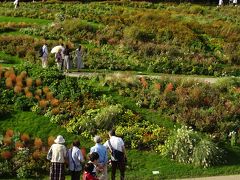 県立四季の森公園から里山ガーデン秋の大花壇　２０１８秋