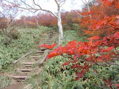 霧が降る高原から赤薙山へ♪