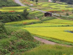 曼殊沙華の群生を求めて（キトラ古墳・稲渕）