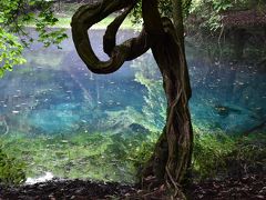 鳥海山の湧水めぐりと生岩ガキランチツアー 2018（山形県遊佐町）