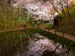 木曽/伊那/駒ヶ根/飯田ぐるり旅【4】～天下第一の桜～高遠城址公園【後編】