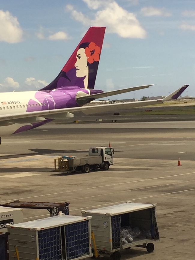 成田空港 ほんとに久々のニタミからの帰国でしたw<br />ニタミの チェックインカウンターの上の階が ごちゃごちゃになっていて びっくりしましたw もっと 整然とできないものか? あれがむしろ良いのかしら? ちょっと 違うんじゃないかな、と思ったのであったw 思えば このところ ずっと 第一ターミナルでした、、本屋さんも ひとつになってた? 3つあったように記憶していましたが、、