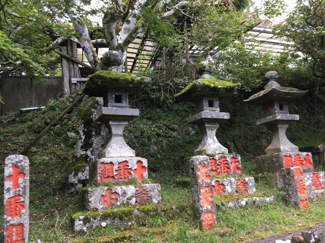 本当は、神奈川県にある塔ノ岳に登る予定でした。<br />かなり、出遅れたため、予定変更。<br />大山に1人で行ってきました。<br />ケーブルを使うと時短になり助かります。