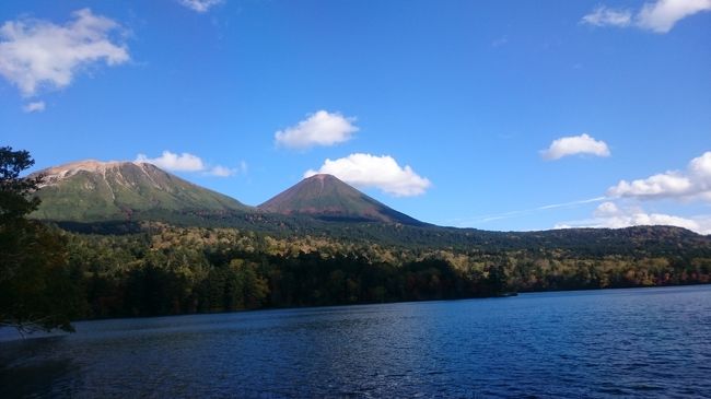 1泊のバスツアーで、ずーーーっと行きたかった「池田町ワイン祭り」に行ってきました。といっても去年ね(≧▽≦)<br />今年の「第45回池田町ワイン祭り」は台風のため、安全第一ということで中止になりました。10月7日(日)予定でした。<br />池田町ワイン祭りは、北海道でも有名で(私の中では)、アルコール好きの私達夫婦にはずっと行ってみたいイベントでした(*^-^*)<br />車で行くと飲めないことになるので、バスツアーで行くことにしました。<br />各旅行会社がバスツアーを企画しています。日帰りバスツアー、温泉宿泊を絡めて、土日1泊や日月1泊。私達は土日1泊にしました。<br />1人21,800円のお安いツアーです。
