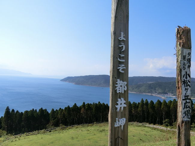 どこかにマイルでMiyazaki 都井岬・鵜戸神宮編