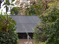 ふじみ野市西鶴ケ岡地区より三角地区を散策しました