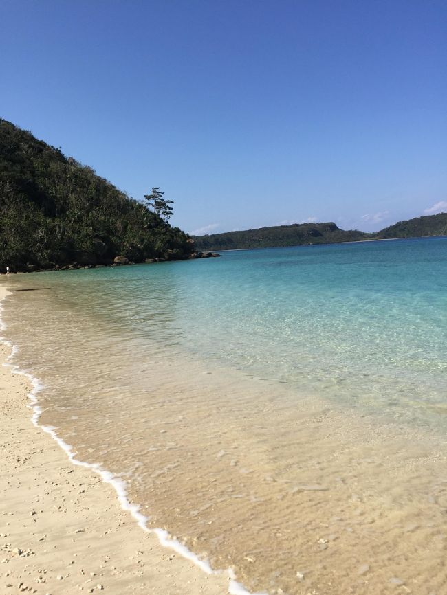 小笠原諸島に行く予定が 一転 沖縄 西表島へ 西表島 沖縄県 の旅行記 ブログ By Ohsuiさん フォートラベル 小笠原諸島に行く予定が 一転 沖縄 西表島へ 西表島 沖縄県 の旅行記 ブログ By Ohsuiさん フォートラベル