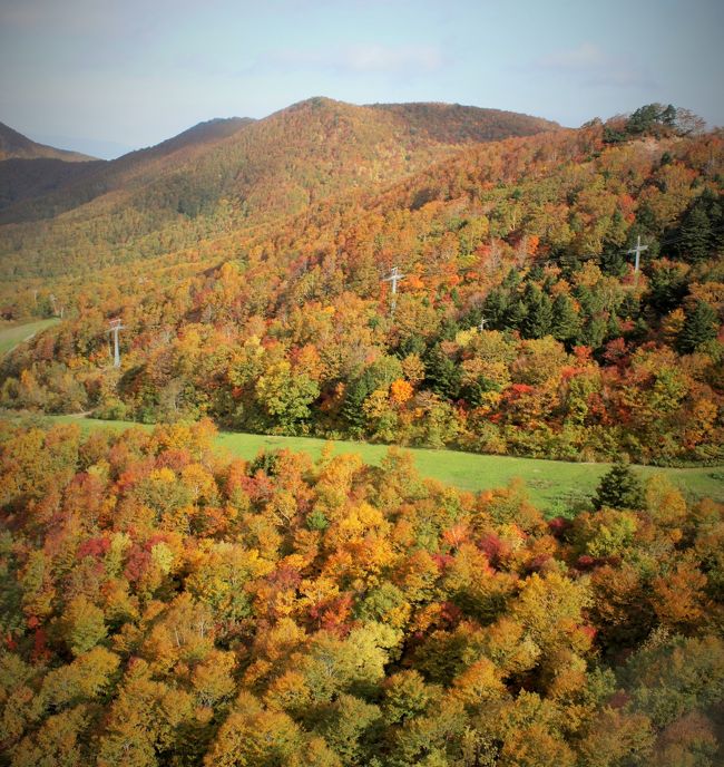 秋の東北旅、最終は蔵王の紅葉です。<br />蔵王の雄大な景色が大好きで、再訪です。<br />前回はＧＷでしたので、山頂は雪景色でした。<br />今回は息をのむような錦の絨毯、極上の時間が過ごせました。