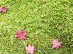 秋の京都、お墓参りと嵐山散策の旅