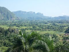 キューバ ビニャーレス渓谷前半 (Los Jazmines, Vinales valley, Cuba)