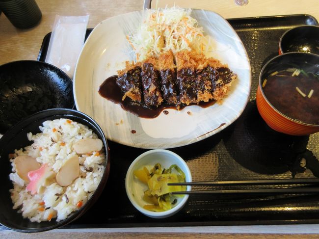  子供が奢ってくれるというので久し振りに”和食のさと”で昼食を楽しんで来ました。すっかりシスチムが変わり繁盛店、人気店になって混雑していました。<br /><br />新サービス2つのセルフ式ドリンクバー<br />さとカフェ＆さとバル(セルフ式ドリンクバーとセルフ式アルコールバー)<br />低価格で飲み放題のセルフ式ドリンクバー<br />詳細はホームページを参考にして下さい<br /><br />オーダーが座席に置いてあるiPadで誰でも簡単に出来る