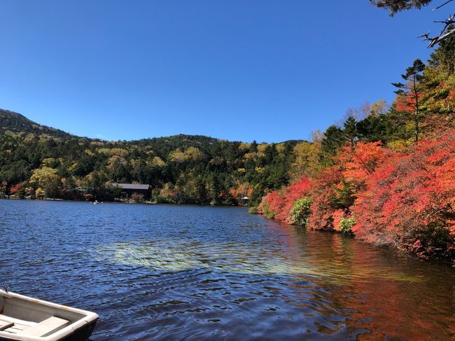 標高2100メートルにある白駒池では紅葉が見られるかもと思って行ってみた<br />ところどころ綺麗な紅葉が見られた<br />その後、清里テラスへと移動