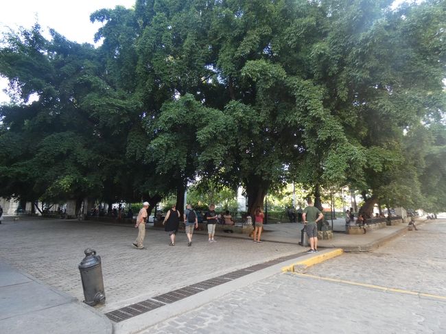 オビスポ通りを運河側に曲がるとすぐにあるのがここも世界遺産に登録されているアルマス広場(Plaza de Armas)。1519年のハバナの町が出来た直後の1520年代初期に造られたハバナ最古の広場。16世紀末まではイグレシア広場(Plaza de la Iglesia)と呼ばれていた。広場の中央には第一次キューバ独立戦争のリーダー、カルロス・マヌエル・デ・セスペデス(Carlos Manuel de Cespedes)の像が建つ。彼は地主でありながら、1868年、自分の工場で働く人たちを解放し、スペインに対する独立戦争の口火を切った。1955年にそれまで建っていたスペイン王フェルナンド7世(Ferdinand VII)の像に代わって建てられたもの。<br /><br />公園は16世紀から20世紀にかけての建築にまたがる街の最も重要な歴史的建造物に囲まれている。南側には国立歴史博物館と公立図書館。この建物は1804年築で、元々はアウディエンシア(Real Audiencia＝王立聴訴院)。1982年に博物館となり98年に図書館が入った。東側にはホテル・サンタ・イザベル(Hotel Santa Isabel)。98年に改装されたハバナ最高のホテルの一つだが、元々は1784年に建てられたPalacio del Conde de Santovenia。ホテルの前には古い機関車も置かれている。ホテルの北側にはエル・テンプレテ(El Templete)。1519年11月16日にこの場所で開かれたハバナ最初の大集落市議会を記念して、1827年に建立されたギリシャ風の新古典派聖寺院。そして、北西角にあるのがパラシオ・デル・セグンド・カボ(Palacio del Segundo Cabo)。穏やかなムーア風の部分バロック様式の部分的なカット石灰岩の建物は1772年にスペイン副総督宮殿として建設され、その後郵便局、上院、最高裁判所、国立芸術アカデミーの宮殿として数々の生まれ変わりをした後、2014年にキューバとヨーロッパの文化的関係に特化した多彩な博物館として再開された。この他、フエルサ要塞と市立博物館もあるが、改めて訪れるので別途。<br />https://www.facebook.com/media/set/?set=a.2365752426828101&amp;type=1&amp;l=b6a316ae36<br /><br />アルマス広場からこの日の最後の目的地のカテドラル広場へ向かう途中のメルカデレス通り。右手には約300平方mある大きな壁画。「Mural historico cultural del Liceo Artistico y Literario de La Habana」と云う長い名前のこの作品は壁画家のアンドレス・カリージョ(Andres Carrillo)が2000年に描いたもので、キューバの歴史と芸術における67人の優れた人物を描いている。左手にはマルコ・デ・アルコス宮殿(Palacio del Marques de Arcos)の庭。この宮殿はカテドラル広場を囲む建物のひとつで、1741年に建てられたもの。庭にはなぜか猫がたくさん。あと、階段を降りようとしている人の銅像があったが、調べても誰なのか何なのか分からない。その先にJICAマークが入ったプレートがあるが、これは日本のODA無償資金協力のプレートで、ハバナ市歴史事務所文化会館視聴覚機材整備計画(The Project for the Improvement of Lyceum Audiovisual Equipment of the Office of the Historian of the City of Havana)と云うそうで、ハバナ市歴史事務所(OHCH)に対し、地域住民に多様な文化サービスを提供するための視聴覚機材および照明機材の導入を支援するもの。<br />https://www.facebook.com/media/set/?set=a.2365731403496870&amp;type=1&amp;l=f1537e99ce<br /><br />7時前、ようやく最終目的地のカテドラル広場(Plaza de la Catedral)に到着。この日回ったハバナ旧市街の主だった広場の中では、最後に作られたもの。元々は沼地で、最初はスペイン艦隊のドッグとして使われ、その後広場として使われるようになった。そのため、最初はシエナガ広場(Plaza de la Cienga＝沼の広場)と呼ばれていた。今の形になったのは1727年に大聖堂が建設された後。今はハバナで最も趣のある広場の一つと云われている。広場を代表する建物はハバナ大聖堂だが、翌日また来るので、それについては別途。<br />疲れたのでエル・パティオ(El Patio)と云うレストランで一休み。元々はCasa del Marquesde Aguas Clarasと云う1751年から1775年の間に建てられたコロニアル様式の邸宅を、レストランに改装したもの。店名が示すように、噴水と観葉植物で彩られた素敵な中庭がある。店の前のオープンカフェに座り、ここで夕食と思ったけど、なぜか流れでビール休憩に。まあ、生演奏を聴きながら次の行動をゆっくり考えられたので良かったが。<br />https://www.facebook.com/media/set/?set=a.2365755866827757&amp;type=1&amp;l=5cfa64b7a8<br /><br />夕食はアルマス広場の近くのナオ(Nao)と云うレストランに。アルマス広場から運河に向けて少し行ったところにある。通りに席が設置されてるのでそこに。ここはキューバ伝統料理のアレンジがメインらしい。タコの煮付けのような料理が有名らしいが、この日はイカだった。タコがない日はイカになるらしい。大きな巻貝に盛り付けされてなかなか素晴らしかった。味は普通。パンとモヒートと併せてジャスト20CUCだった。<br />https://www.facebook.com/media/set/?set=a.2365759600160717&amp;type=1&amp;l=af7fca2f0e<br /><br />この日もWiFi接続のためにホテル・セントラルへ。旧市街のなかでもっとも風情のある通りと云うオビスポ(Obispo)通りを約1km歩く。カフェや土産物店、バー、アイスクリーム店などが軒を連ね、どこからともなくサルサやラテン音楽が流れ、観光客のみならず地元の人にも愛されている通り。ホテル・セントラルのラウンジ。この日は缶ジュースでなくコーヒーを頼んだら、これがしっかりしたコーヒーで、5CUCで十分な価値あり。この日のWiFi接続は前日苦労したおかげでまあスムーズで、10時頃には宿に戻った。<br /><br /><br />以上ハバナ2日目終了。