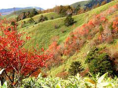 紅葉の大川入山（１９０８ｍ）