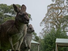 グランピアンズ国立公園周辺の旅行記