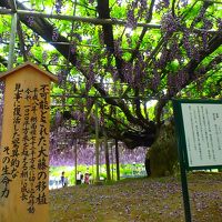 栃木観光～足利フラワーパーク・織姫神社・宇都宮・那須塩原～by車