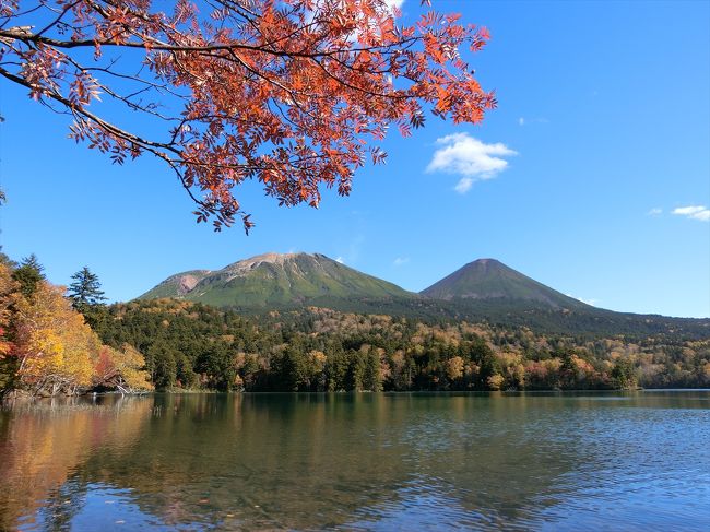 紅葉を見にオンネトーへ。