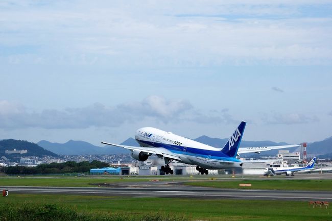 転職先が決まった6月半ば、気分的にも落ち着いたので、海の日の連休辺りに息子に会いに行こうと思い立ち(正確に言うと、ずっと思っては居たんですけど、出かけてる場合か?って控えてたの)、息子に話を振るも「休み取れないかも?」。お互い忙しくしてるうちに航空券の値段が上がってしまったので、それじゃあ9月の3連休に行くわって事になりました。<br />「いつ来るんだぁ?」なんて声かけてくれてた息子の会社の社長(前回はまだ取締役何とかだった)にもご馳走してもらう予定も有りました(3年2ヶ月ぶりです。その時の旅行記はこちらです。https://4travel.jp/travelogue/11034122)から、観光に割けたのはホンの半日足らず。<br />前回との大きな違いは青春18きっぷが使える時期じゃない事です。なので新幹線より安く済ませる為に(ってかJR東海にお金落としたいと思えないので)往復飛行機にしました。<br />実は最初から行きたい所が伊丹空港のそばに・・