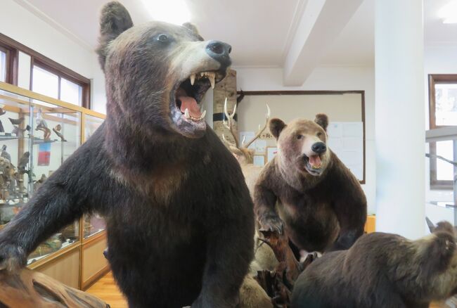 道東の名所とチャシ跡巡りです。網走市立の郷土博物館の展示品の紹介です。この展示館の建物は、北海道を代表する建築家で、音楽家でもあった田上義也氏の設計でした。展示品の他に建物自体も興味深く見学しました。