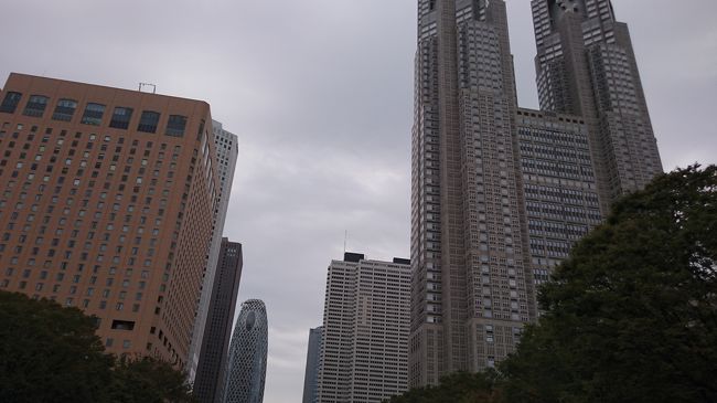 西新宿に宿泊した翌日。<br />西新宿五丁目から熊野神社まで１０分程度散歩する。<br />ここは十二社通りと言われる東京在住の人にはお馴染みの通りであるが、そこから階段を昇った上に神社がある。<br /><br />長年東京に住んでいたがここに来たのは初めて。<br />御朱印初めて良かったな～。<br />まずは参拝しそして御朱印を頂く。<br />境内はさほど広くないが、すこし散歩してから中央公園に向かう。<br />ここも久しぶり。<br />公園内は思っていたよりきれいで、しかも水や木々など自然も多い。<br />ゆっくり散歩して都庁でも登ろうと思ったが、長蛇の列。<br />都庁はまたにしよう。<br /><br />そこから大江戸線に乗って牛込神楽坂へ。<br />神楽坂をぶらつき、毘沙門天を参拝。<br />御朱印を頂く。<br />更に坂を下って、飯田橋から総武線で大久保へ。<br /><br />そこから西武新宿方面に向かう途中に「ハレルヤ」という人気店。<br />ここで焼肉ランチを食べた。<br />慌ただしい散策だったが割と充実。